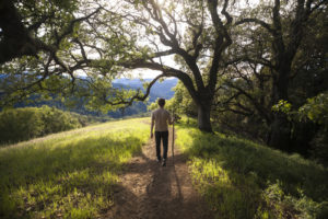 hiking in california