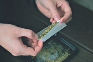 A man rolls a joint of marijuana